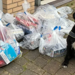 Scottish Tobacco Hound Uncovers £17k in Contraband Cigs and Vapes