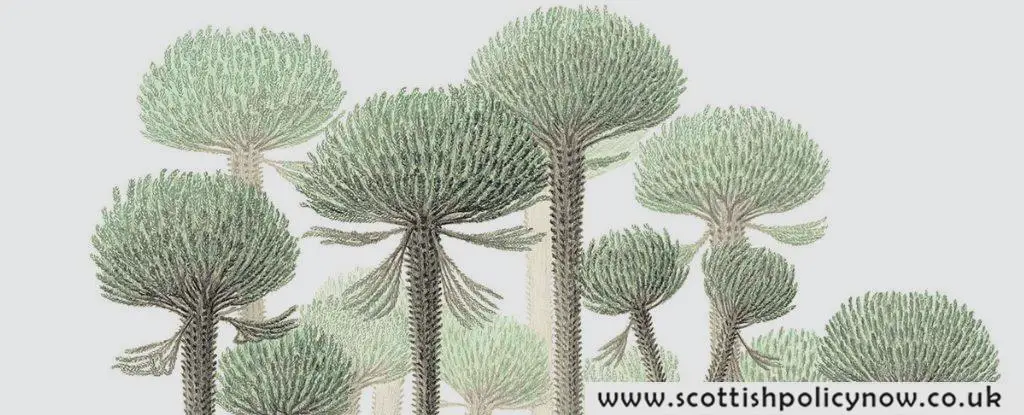 Unearthed: Ancient Forest With Exotic Trees Buried for 390 Million Years Uncovered on Earth