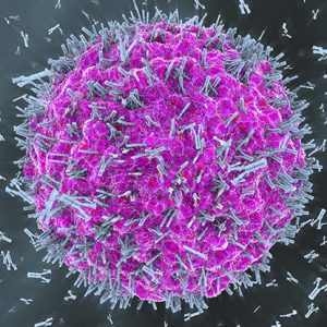 “Revolutionary Discovery: Scientists Locate ‘Switch’ Preventing Immune System From Attacking Healthy Cells”