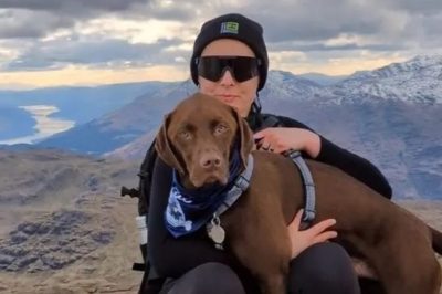 Edinburgh Local Plans to Ascend Seven Munros in One Day to Generate Funds for Animal Welfare Charity