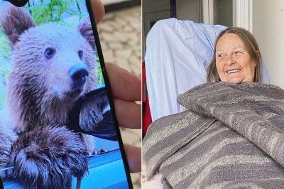 Scottish Tourist in Romania Survives Bear Attack Thanks to Marks & Spencer Coat
