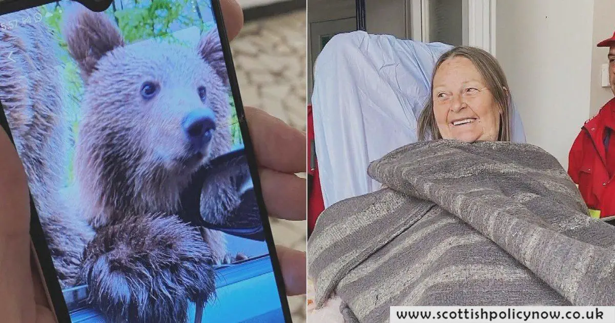 Scottish Tourist in Romania Survives Bear Attack Thanks to Marks & Spencer Coat