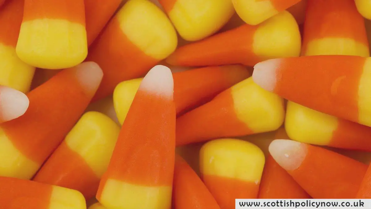 Discover the Story Behind the Colorful Treat Candy Corn: A Journey from Creation to Halloween Tradition