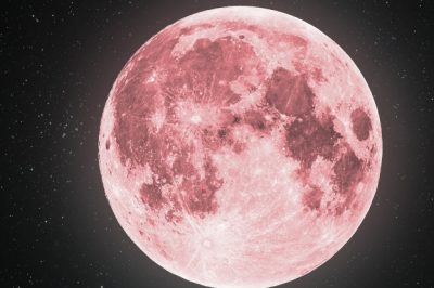 Lyrid Meteor Shower and “Pink Moon” Visible Tonight: Comprehensive Guide on When, Where, and How to View