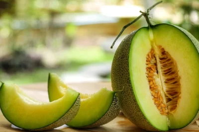 Discover the Health Benefits and Delicious Taste of Honeydew Melon