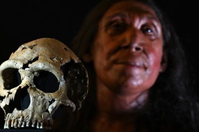 Discover the Face of Shanidar Z: Highly Detailed Reconstruction of 75,000-Year-Old Neanderthal Woman Unveiled